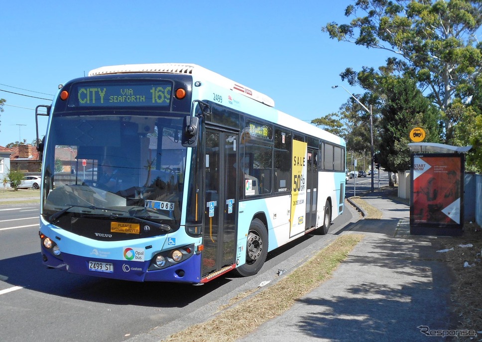 シドニー近郊はバスが縦横無尽に走り回っていてとても便利に移動できる。《撮影 岩貞るみこ》