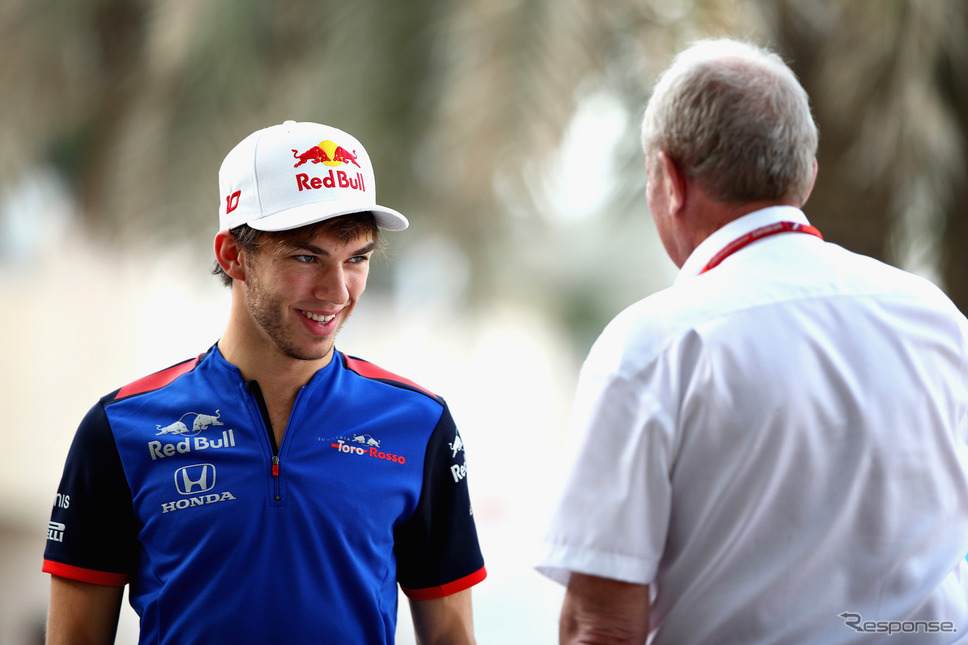 22歳の俊英ガスリーは将来性充分のドライバー。《写真提供 Red Bull / Toro Rosso》