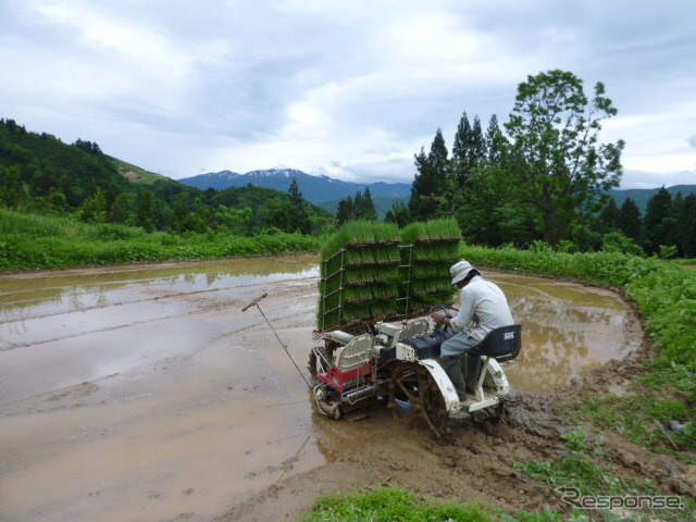 山間部の小さな田んぼ。ここでは、雪解け水を活かしながら有機栽培用の田植え機を使う《写真協力 うおぬまのお米農家》