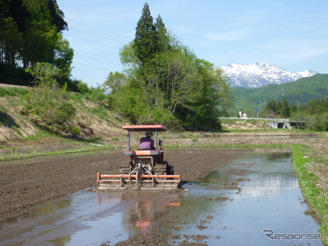 田植え前は、トラクターで代掻きをして田んぼをつくる《写真協力 うおぬまのお米農家》