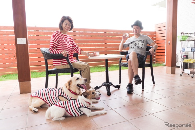 【青山尚暉のわんダフルカーライフ】夏の愛犬連れドライブの注意点!