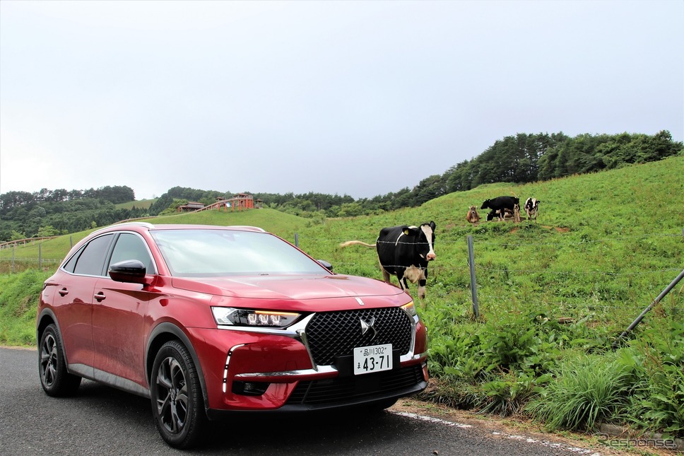 DS7クロスバック ソーシック（ディーゼル）《撮影  内田俊一》