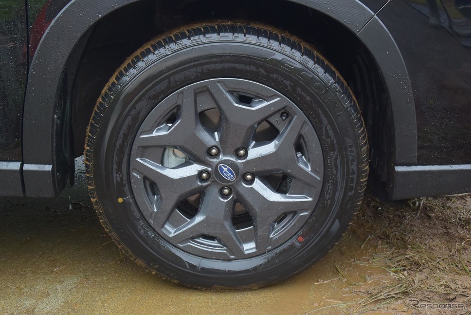 タイヤの泥を落とすと、単なるブリヂストンの省燃費タイヤ「ECOPIA」。これでかなり悪い道まで走れるというのはすごいと感じられた。《撮影 井元康一郎》