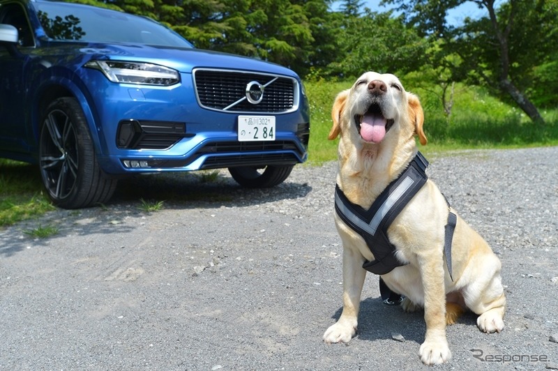 【青山尚暉のわんダフルカーライフ】愛犬の安全なクルマの乗せ方&降ろし方