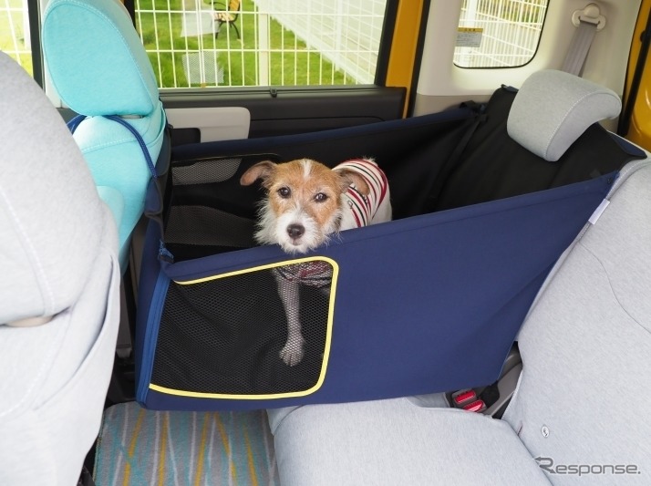 【青山尚暉のわんダフルカーライフ】愛犬の安全なクルマの乗せ方&降ろし方