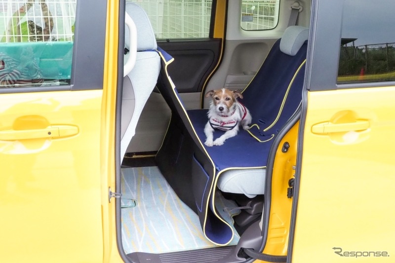 【青山尚暉のわんダフルカーライフ】愛犬の安全なクルマの乗せ方&降ろし方