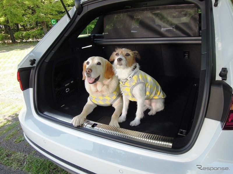【青山尚暉のわんダフルカーライフ】愛犬の安全なクルマの乗せ方&降ろし方