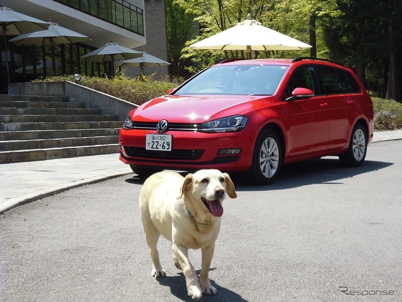 【青山尚暉のわんダフルカーライフ】愛犬の安全なクルマの乗せ方&降ろし方