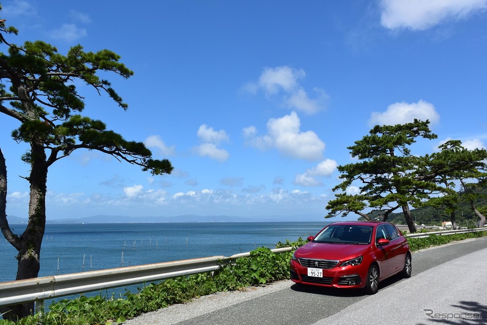 愛知・渥美半島の海岸にて。《撮影 井元康一郎》