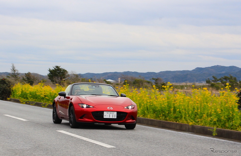 「オープンカーde体感!! 南房総ドライブ」《撮影 吉田瑶子》