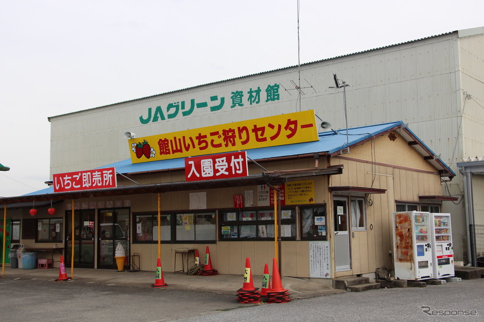 いちご狩りもできる《撮影 吉田瑶子》