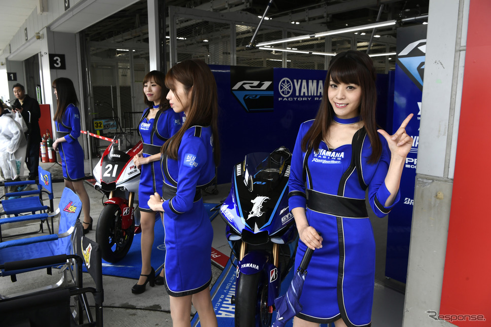 モースポフェス2019鈴鹿 グリッドウォーク・GPスクエア《撮影 雪岡直樹》