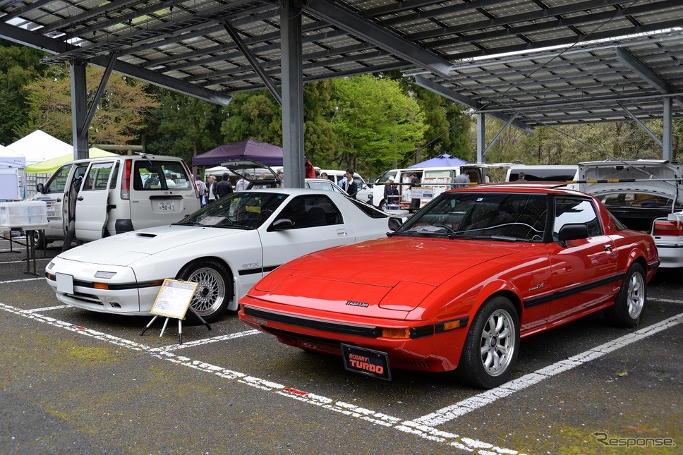 昭和のくるま大集合2019《撮影 嶽宮三郎》