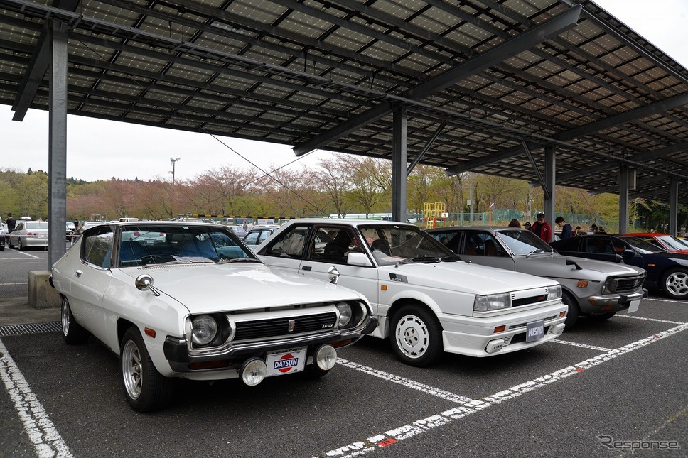 昭和のくるま大集合2019《撮影 嶽宮三郎》