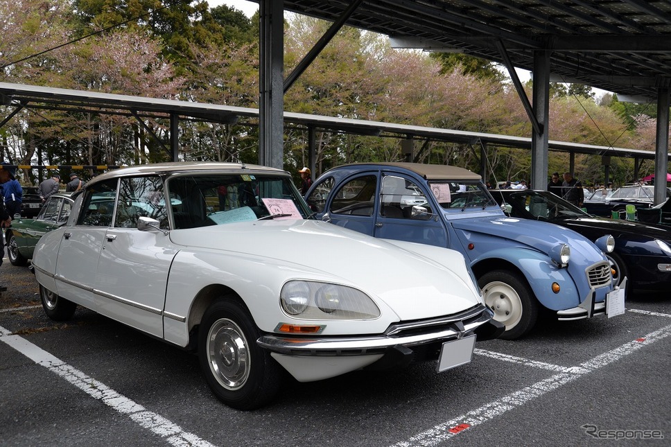 昭和のくるま大集合2019《撮影 嶽宮三郎》