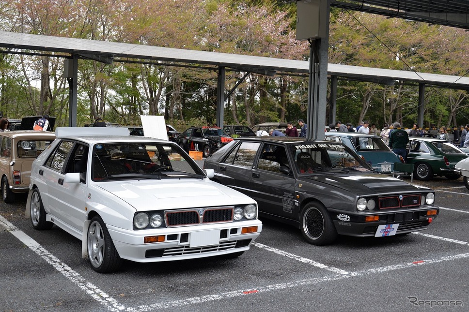 昭和のくるま大集合2019《撮影 嶽宮三郎》