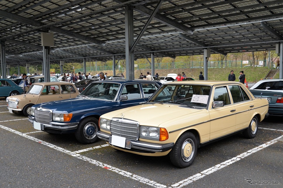 昭和のくるま大集合2019《撮影 嶽宮三郎》