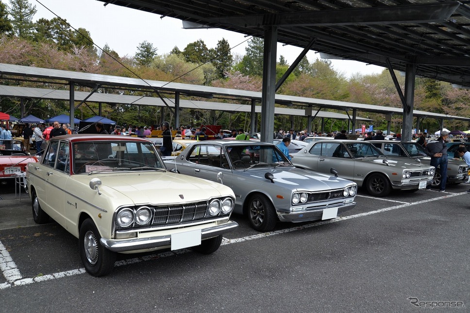 昭和のくるま大集合2019《撮影 嶽宮三郎》
