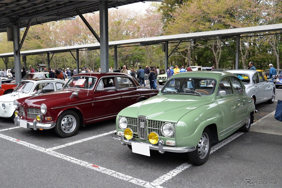 昭和のくるま大集合2019《撮影 嶽宮三郎》