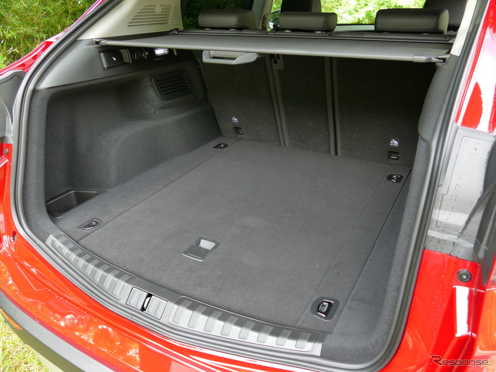 アルファロメオ ステルヴィオ 2.2 TURBO DIESEL Q4《撮影 島崎七生人》