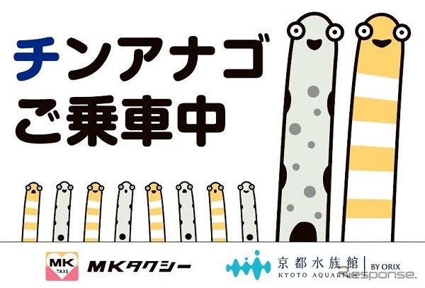 チンアナタクシー《画像:オリックス》