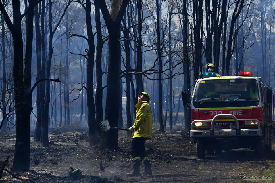 豪ニューサウスウェールズ州の森林火災（11月12日）《photo (c) Gertty Images》