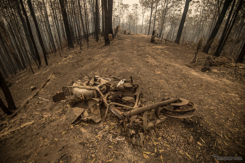 豪ニューサウスウェールズ州の森林火災（11月11日）《photo (c) Gertty Images》
