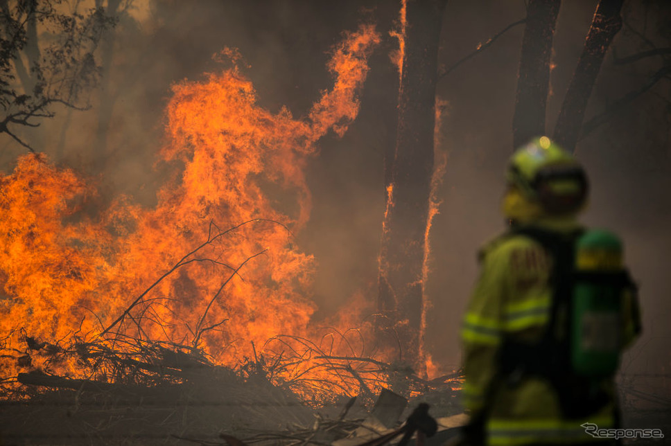 豪ニューサウスウェールズ州の森林火災（11月10日）《photo (c) Gertty Images》
