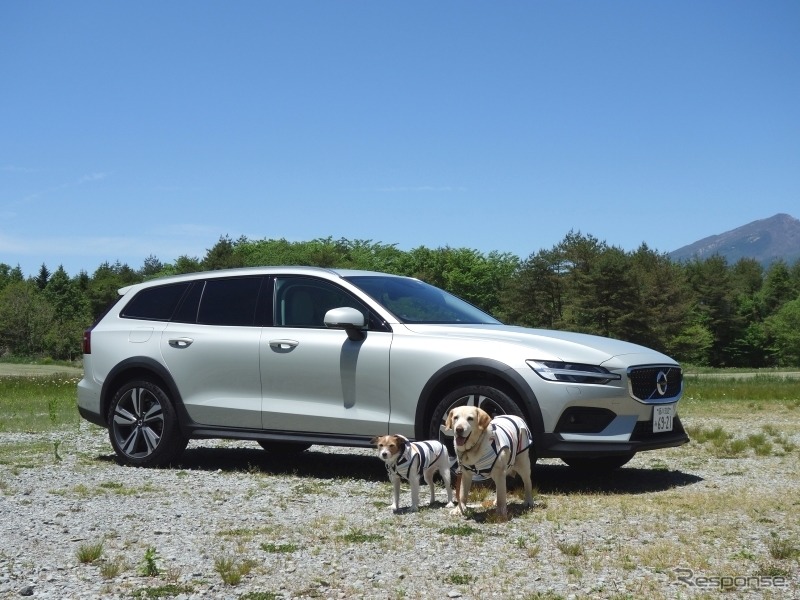 ボルボ V60 クロスカントリー《画像 青山尚暉》