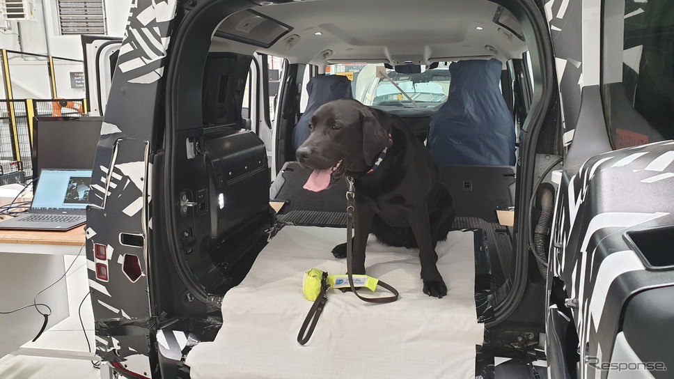 ランドローバー・ディフェンダー 新型と荷室の犬《photo by Jaguar Land Rover》
