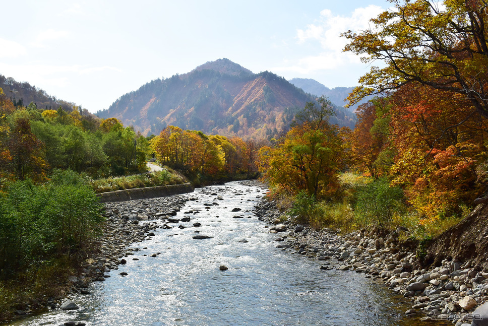 御池から下りきったところにある只見川が福島〜新潟を分ける。古くは越後と会津の国境でもあった。川の流れを見ると、上流で散った枯葉が水中で乱舞していた。《撮影 井元康一郎》