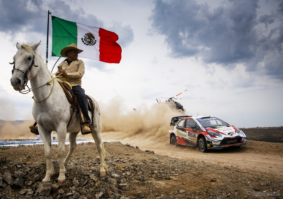 WRCメキシコ戦を制した#17 オジェ（トヨタ）。《写真提供 Red Bull》