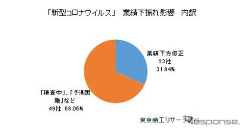 新型コロナウイルス 業績下振れ影響の内訳《画像:東京商工リサーチ》