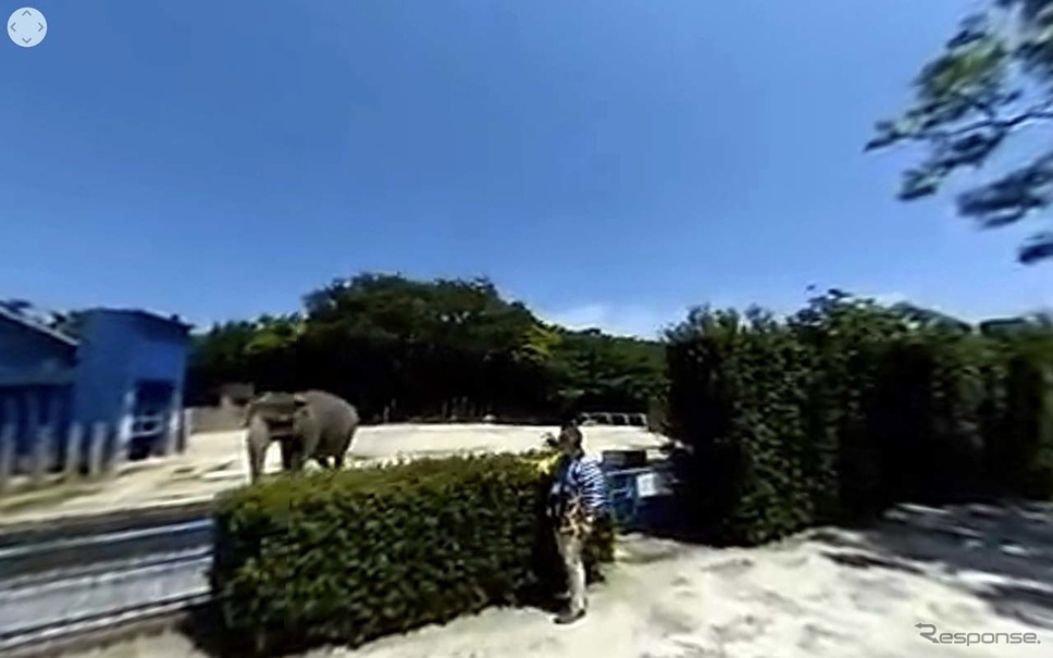 360度カメラからの映像。画質レベルがもう少しか高いと良かった《画像 ZMPサイト》