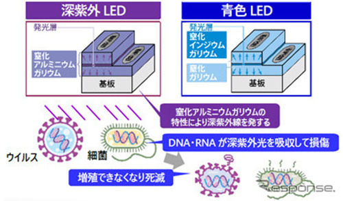 深紫外LEDとは《図版提供 豊田合成》