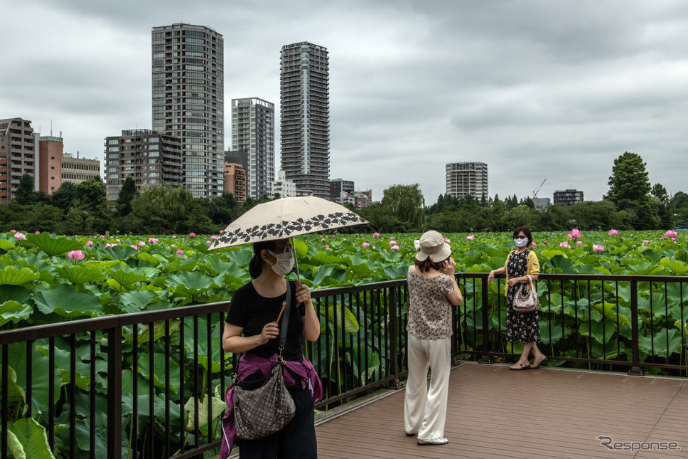 東京上野、不忍池(7月30日)《Photo by Carl Court/Getty Images news/ゲッティイメージズ》