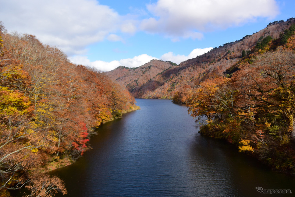 奥只見湖。このようなフィヨルド的入江が至る所に。《写真撮影 井元康一郎》