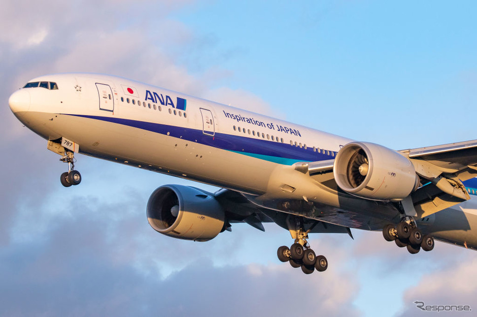 ANA機《Photo by Nicolas Economou/NurPhoto via Getty Images/ゲッティイメージズ》