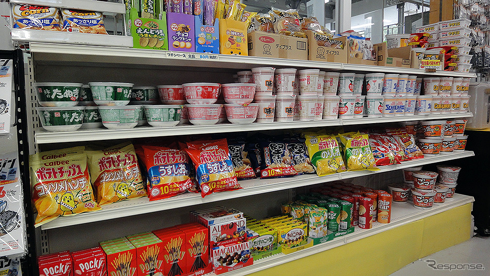 ヨコモ「つくばラジコンパーク」(茨城県つくば市谷田部)《写真撮影 大野雅人(GazinAirlines)》