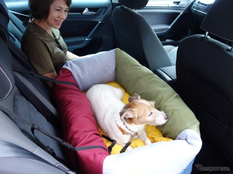 一体型ドッグカートを利用する場合は、愛犬の安全な乗車のために後席用ドッグベッドなどを用意《写真 青山尚暉》