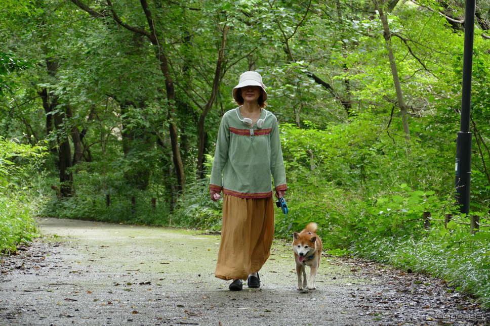 三菱 eKクロススペースで近くの公園に散歩＆買い物に出かけた。《写真撮影 島崎七生人》