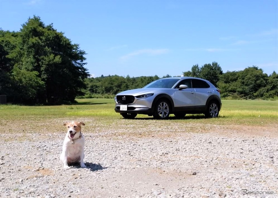 マツダ CX-30《写真撮影 青山尚暉》