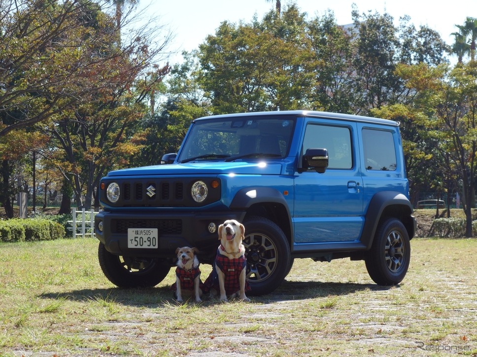 スズキ ジムニー《写真撮影 青山尚暉》