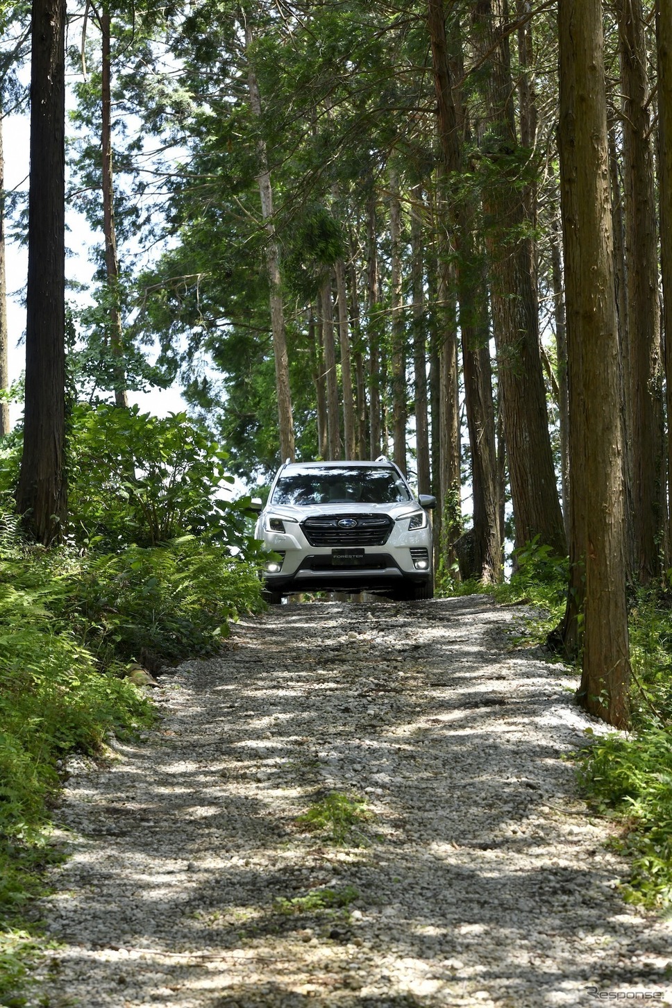 スバル・フォレスター改良新型《写真提供 SUBARU》