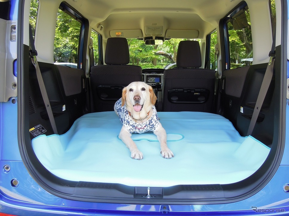 夏の愛犬とのドライブ旅行で気になる害虫対策《写真撮影 青山尚暉》