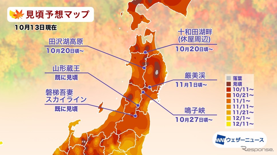 エリア別の紅葉見頃予想《資料提供 ウェザーニューズ》