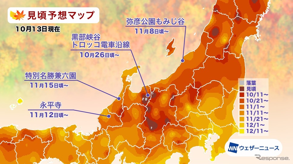 エリア別の紅葉見頃予想《資料提供 ウェザーニューズ》