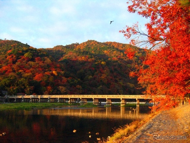 京都嵐山(イメージ)《写真提供 写真AC》