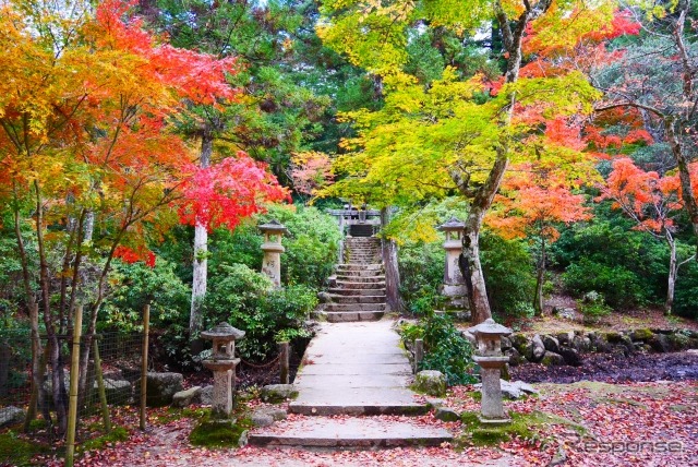 安芸宮島(イメージ)《写真提供 写真AC》