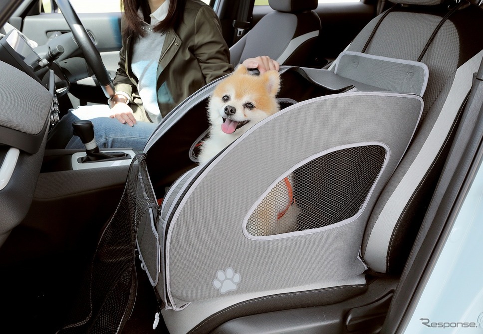愛犬とのドライブ（イメージ）《画像提供 ホンダアクセス》